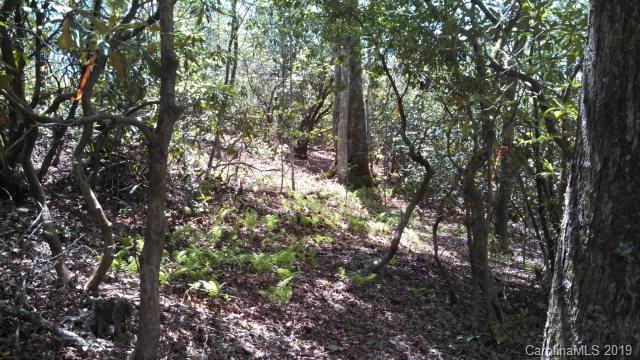 Property image 3 at Vl Lot 18 19 Crooked Creek Estates Dr, Old Fort, NC 28762