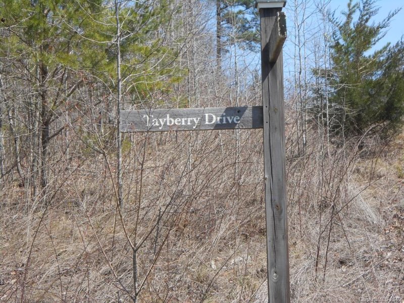 Property image 3 at Lot 69 Blackberry Creek, Nebo, NC 28761