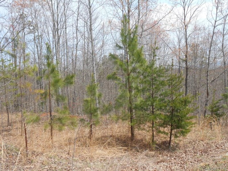 Property image 5 at Lot 20 Blackberry Creek, Nebo, NC 28761