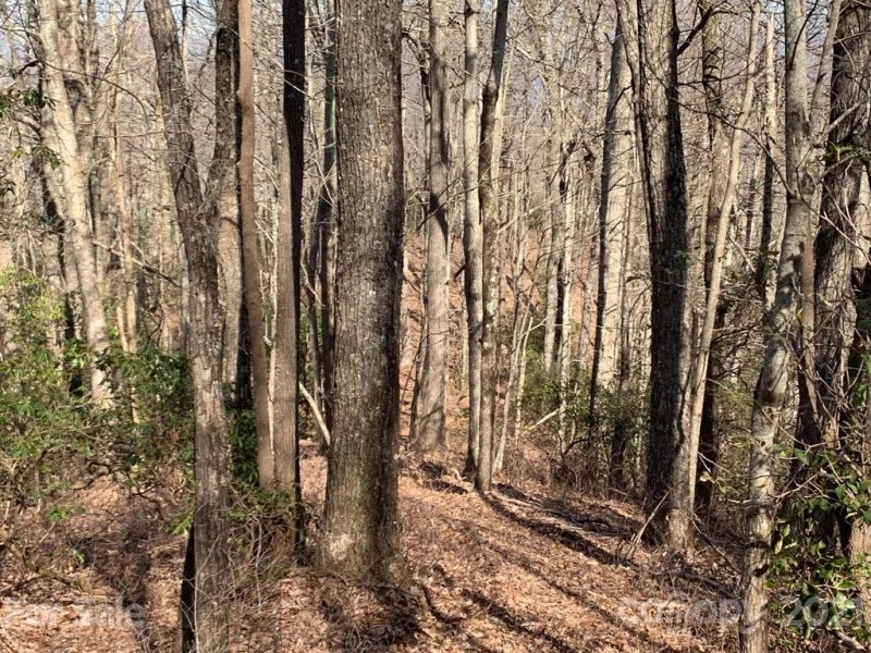 Property image 2 at 129 Whitetail Trail, Rosman, NC 28772