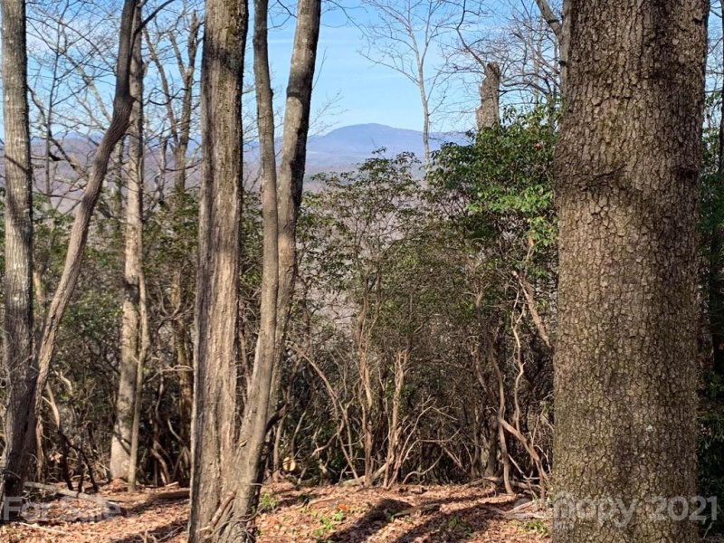 Property image 5 at 129 Whitetail Trail, Rosman, NC 28772