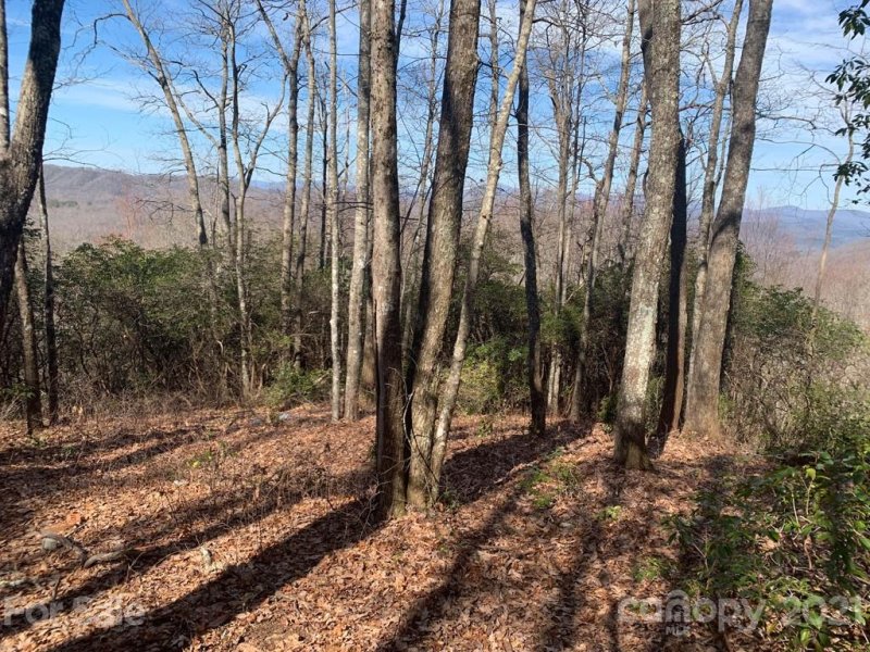 Property image 2 at Lot 128 Whitetail Trail, Rosman, NC 28772
