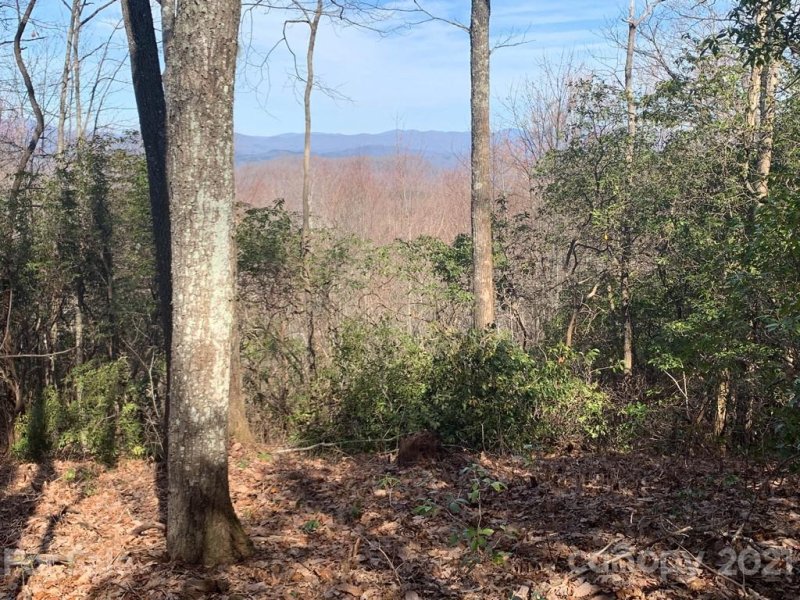 Property image 3 at Lot 128 Whitetail Trail, Rosman, NC 28772