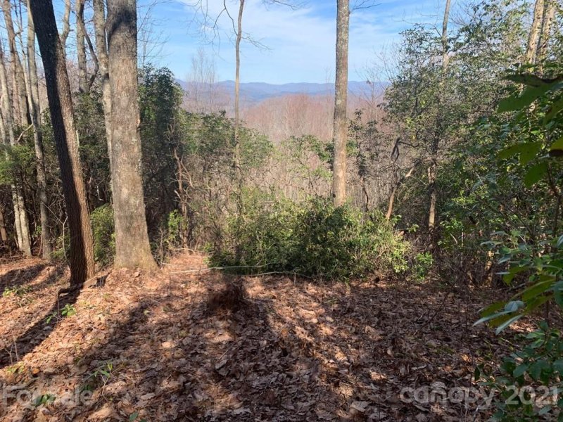 Property image 4 at Lot 128 Whitetail Trail, Rosman, NC 28772