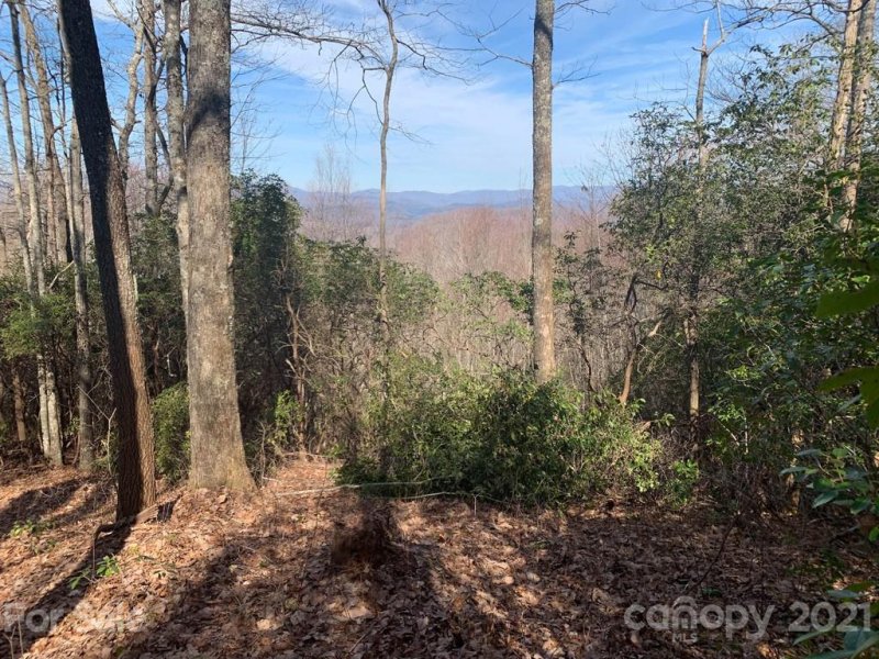 Property image 5 at Lot 128 Whitetail Trail, Rosman, NC 28772