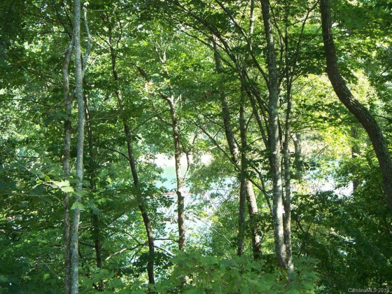 Property image 3 at Lot 49 3 Cherokee Ridge, Bryson City, NC 28713