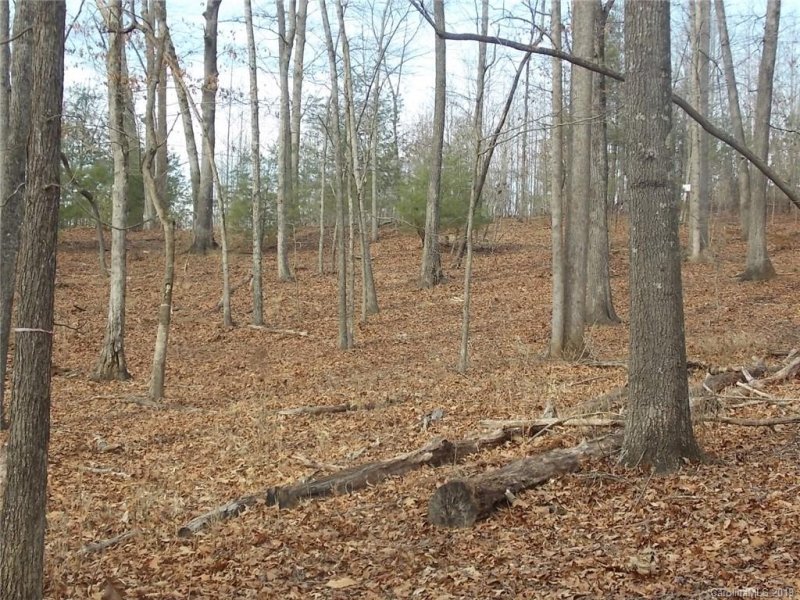 Property image 4 at Lot 39 Everett Drive, Nebo, NC 28761