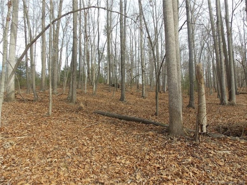 Property image 5 at Lot 39 Everett Drive, Nebo, NC 28761