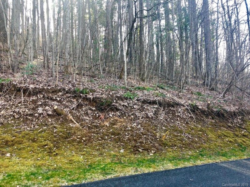 Property image 2 at Lot 45 Mt Hebron Road, Hendersonville, NC 28739