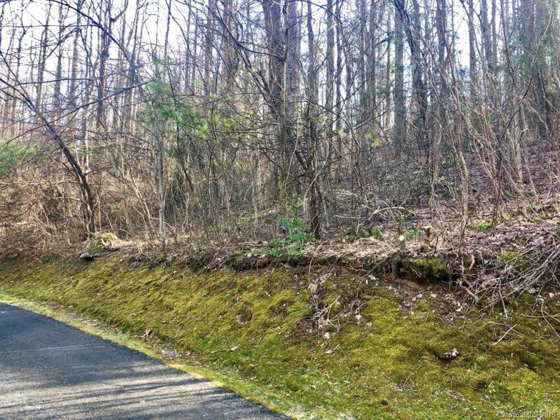 Property image 3 at Lot 45 Mt Hebron Road, Hendersonville, NC 28739