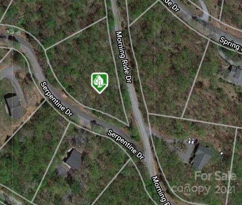 Property image 2 at 99999 Serpentine Drive, Columbus, NC 28722