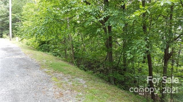 Property image 5 at 99999 Serpentine Drive, Columbus, NC 28722