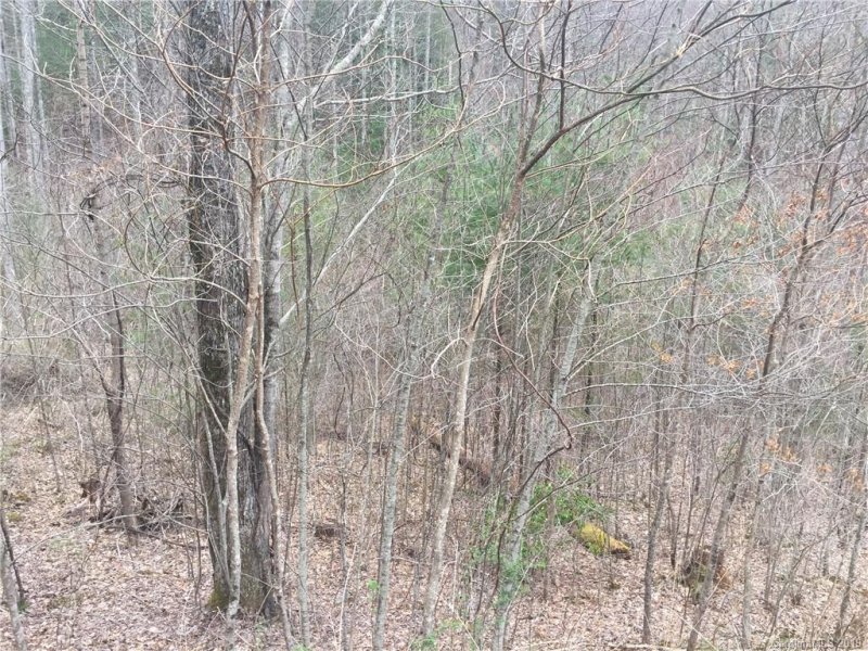Property image 4 at Lt 35 Garnet Road, Sylva, NC 28779