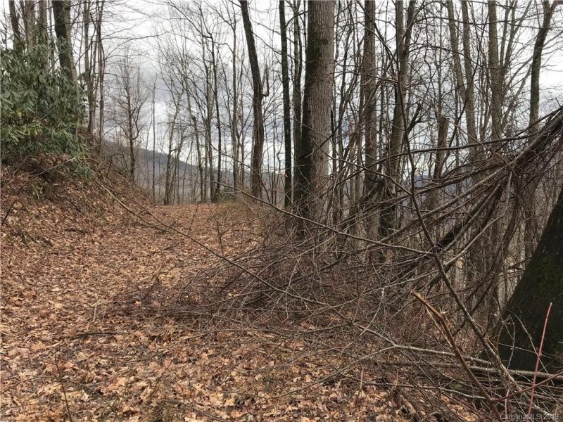 Property image 3 at Lot 26 Setzer Cove Road, Maggie Valley, NC 28751