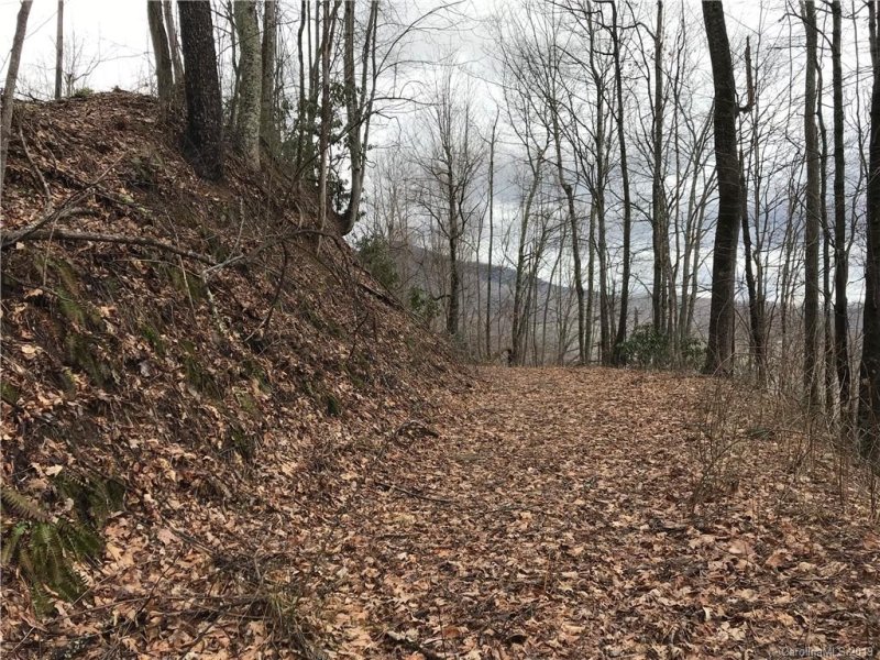 Property image 4 at Lot 26 Setzer Cove Road, Maggie Valley, NC 28751