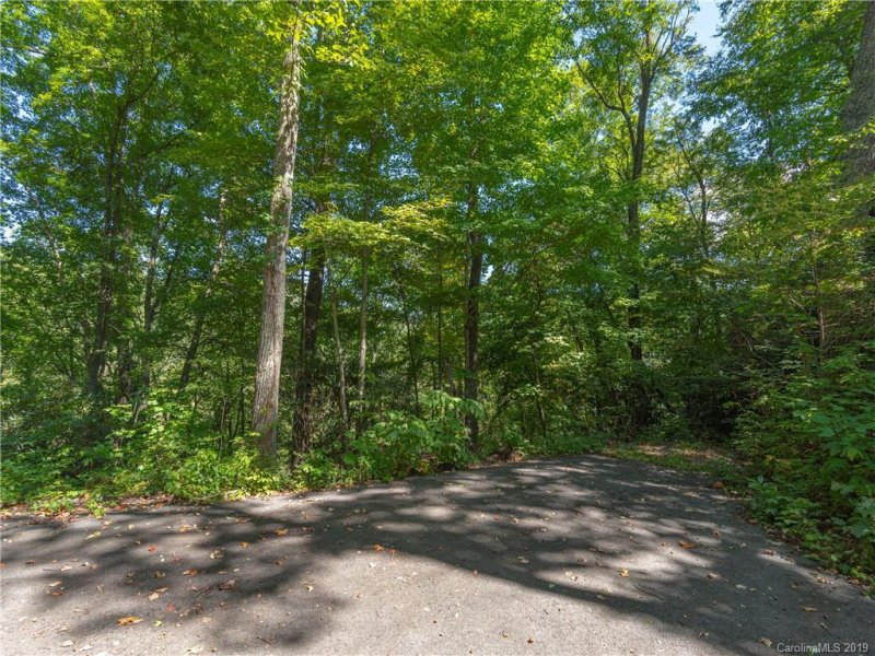 Property image 2 at 00 Buckeye Branch Drive, Clyde, NC 28721