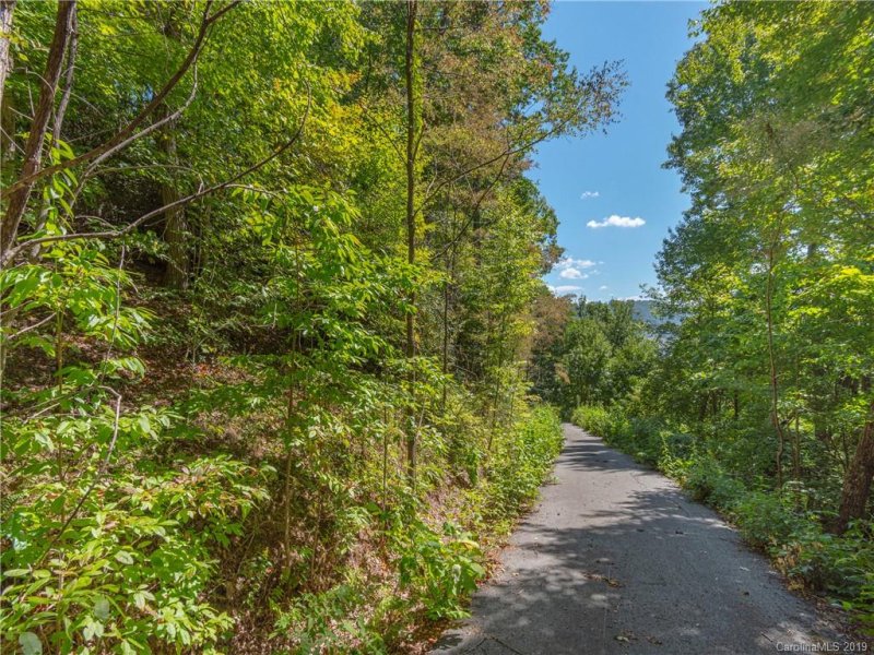 Property image 3 at 00 Buckeye Branch Drive, Clyde, NC 28721