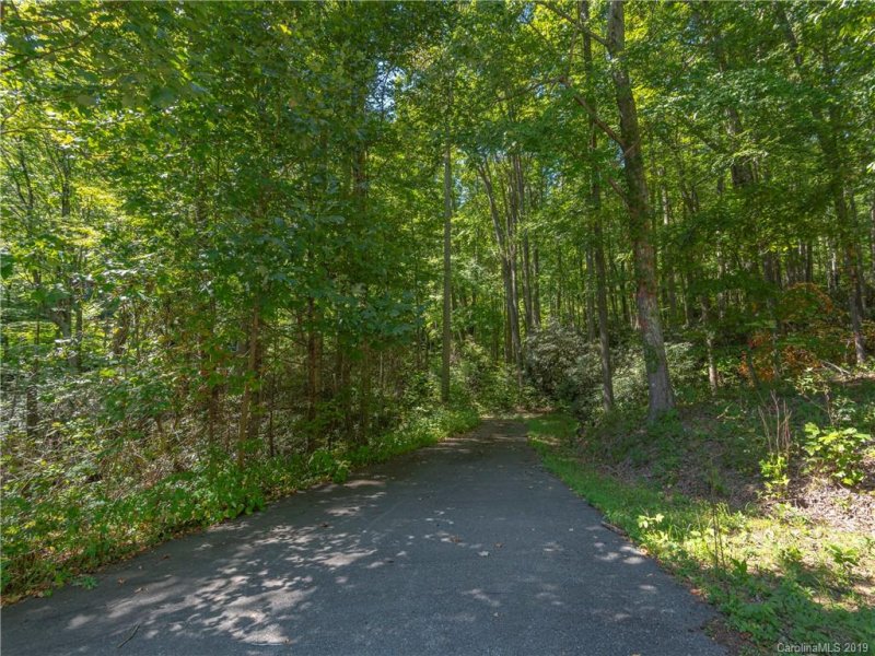 Property image 4 at 00 Buckeye Branch Drive, Clyde, NC 28721