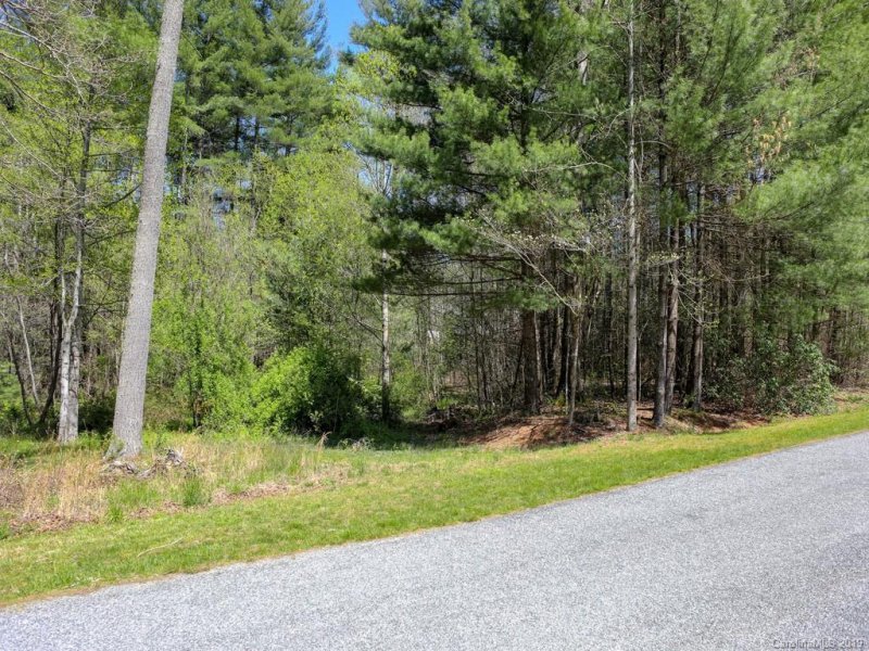 Property image 5 at Lot 21 Mountain Lake Drive, Hendersonville, NC 28739
