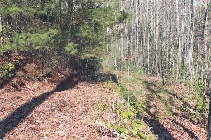 Property image 2 at Lot 2 Gardner Lane, Pisgah Forest, NC 28768