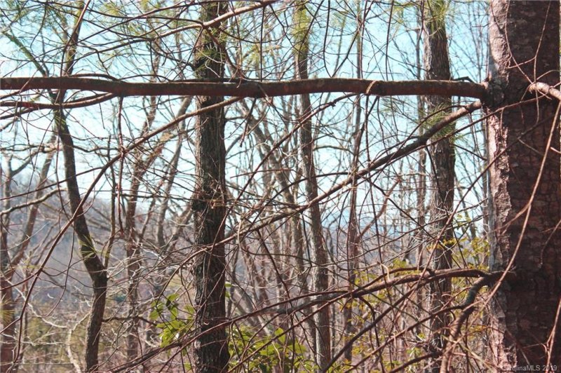 Property image 3 at Lot 2 Gardner Lane, Pisgah Forest, NC 28768