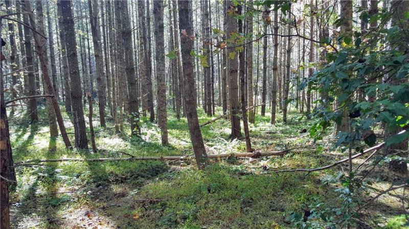 Property image 3 at V L Bent Bow Drive, Lenoir, NC 28645