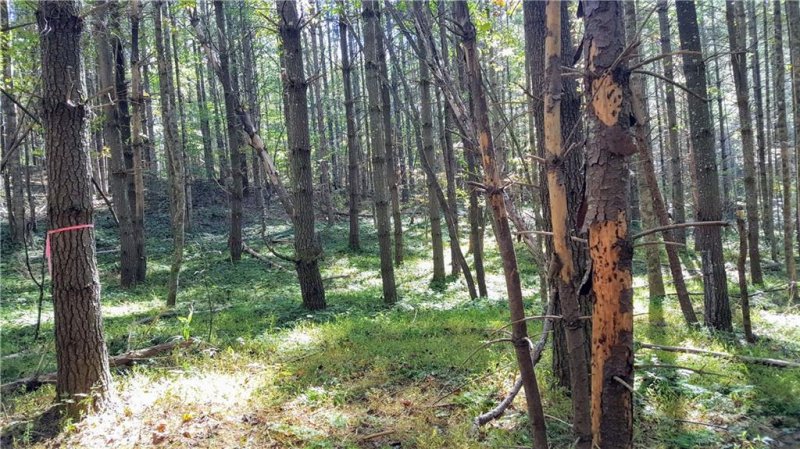 Property image 5 at V L Bent Bow Drive, Lenoir, NC 28645