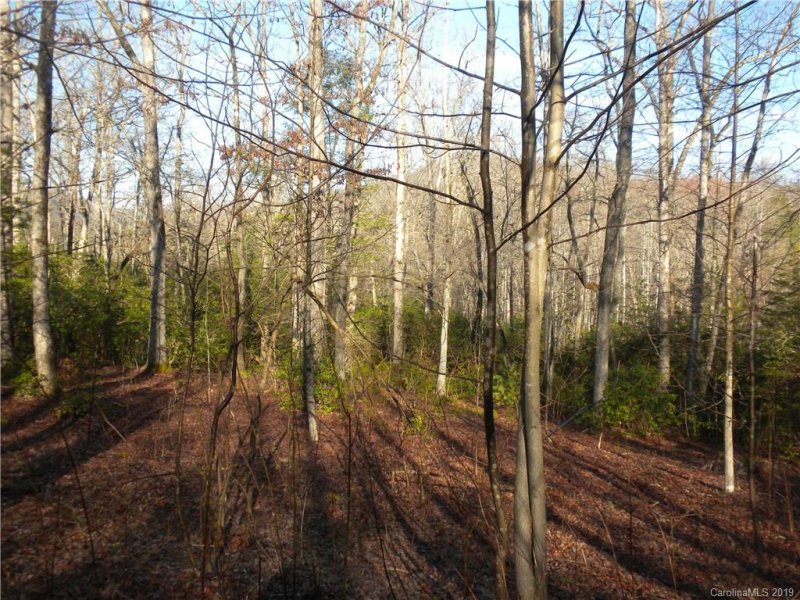 Property image 2 at Tbd Crooked Creek Estates Estates, Old Fort, NC 28762