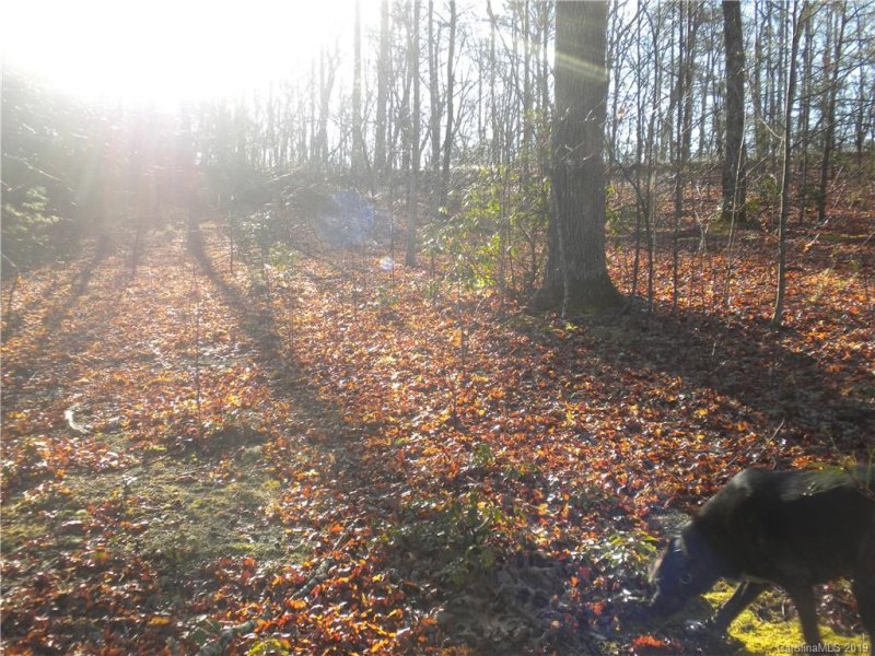 Property image 3 at Tbd Crooked Creek Estates Estates, Old Fort, NC 28762