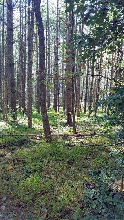 Property image 2 at V L Bent Bow Drive, Lenoir, NC 28645