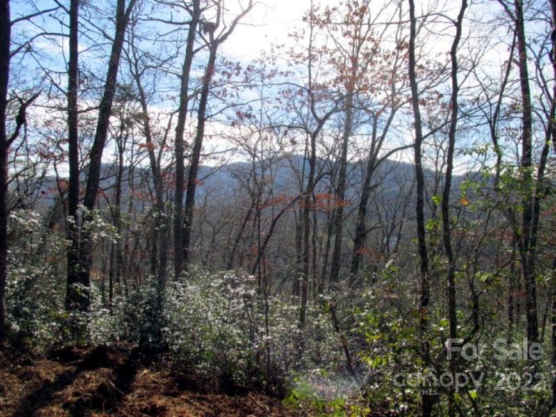 Property image 2 at 33 Wild Top Trail, Cullowhee, NC 28723