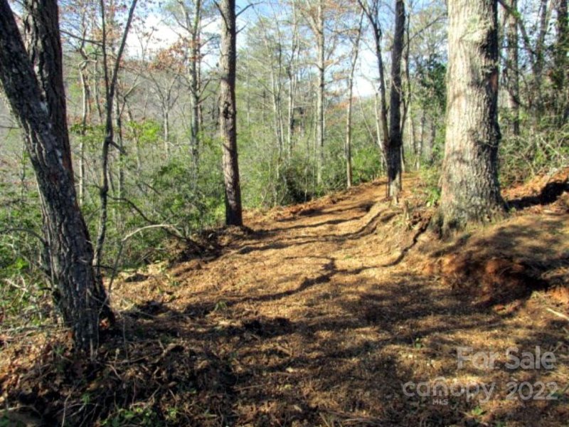 Property image 4 at 33 Wild Top Trail, Cullowhee, NC 28723