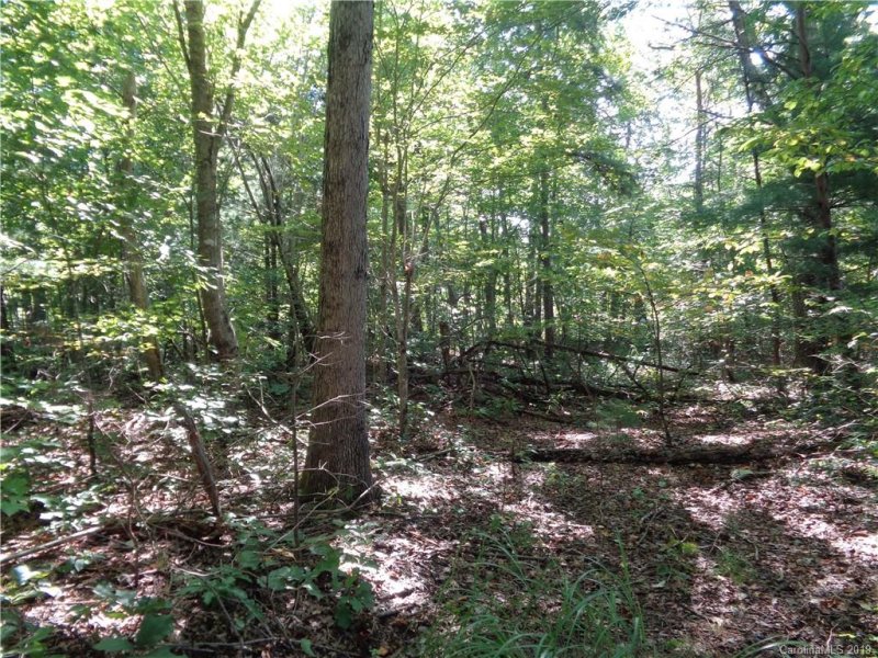 Property image 2 at 51 Morning Star Drive, Leicester, NC 28748