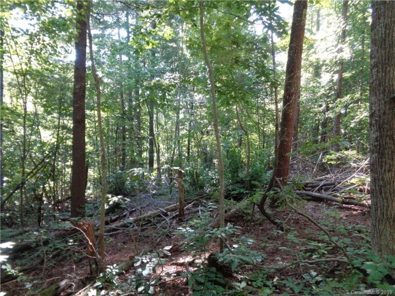 Property image 3 at 51 Morning Star Drive, Leicester, NC 28748