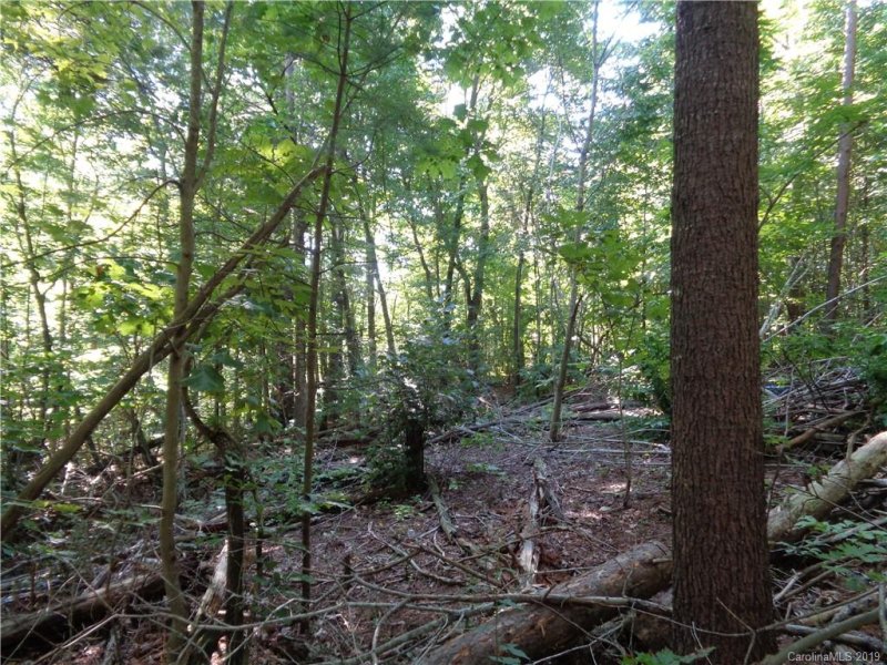 Property image 4 at 51 Morning Star Drive, Leicester, NC 28748