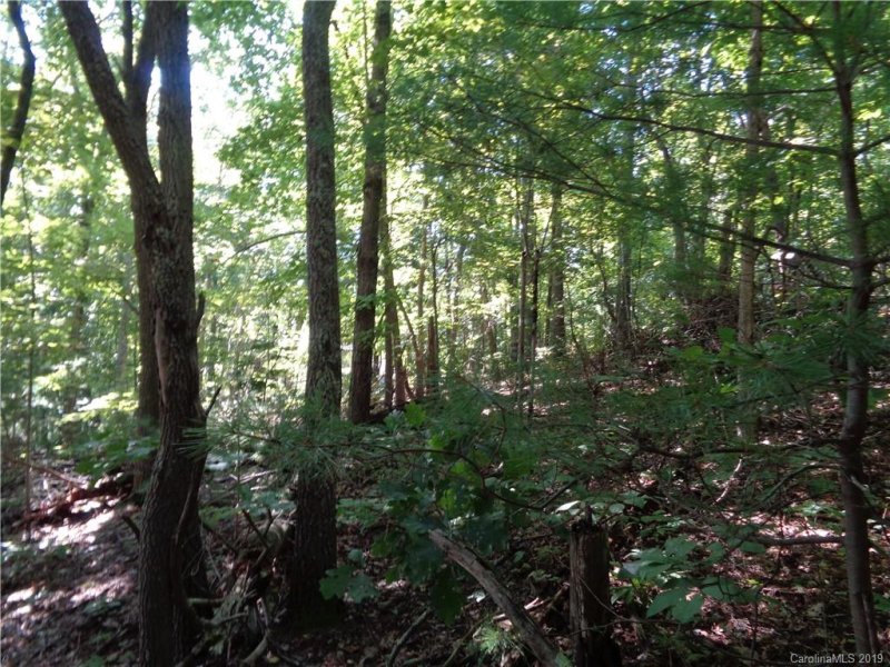 Property image 5 at 51 Morning Star Drive, Leicester, NC 28748