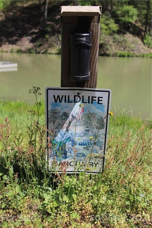 Property image 5 at 0 Cozy Lane, Lake Lure, NC 28746