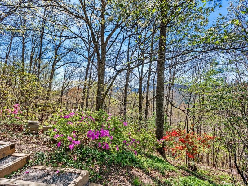 Property image 5 at 32 Sky High Drive, Black Mountain, NC 28711