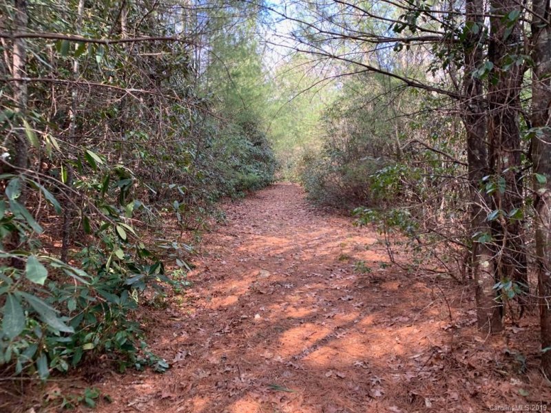 Property image 5 at Lot 5 Stones Lake Road, Cedar Mountain, NC 28718