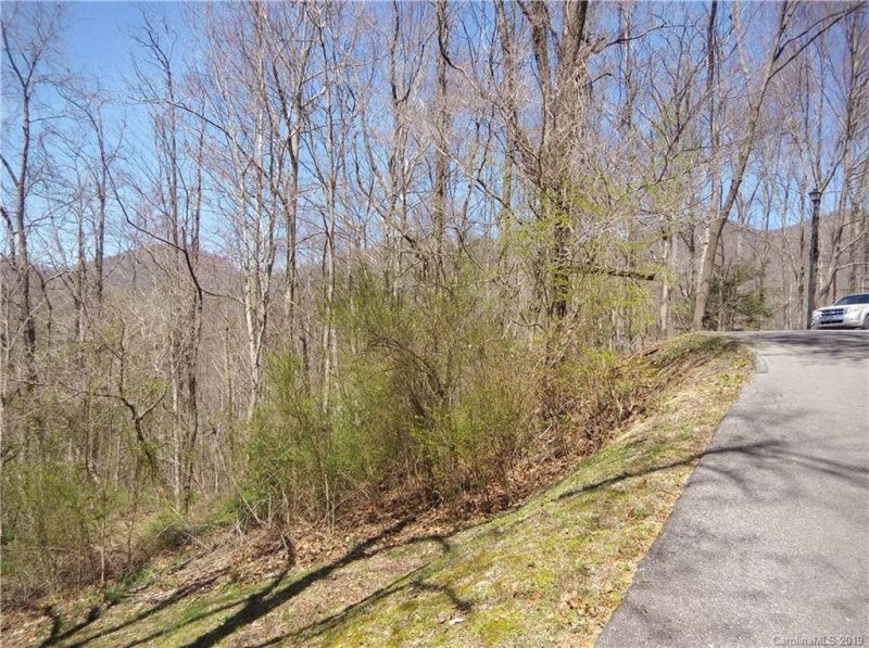 Property image 2 at Lot 11 Divot Drive, Canton, NC 28716