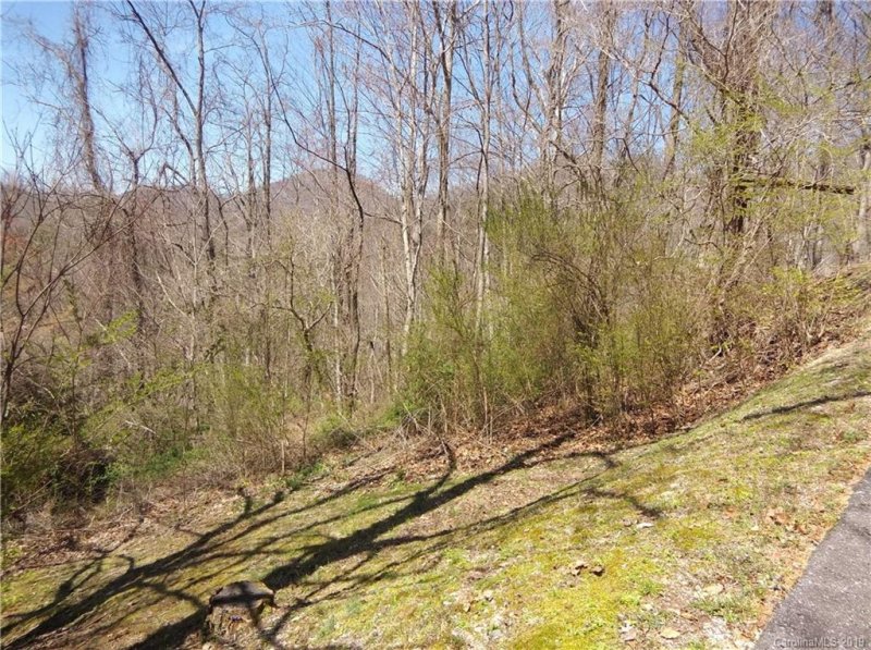 Property image 3 at Lot 11 Divot Drive, Canton, NC 28716