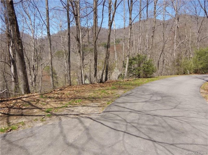 Property image 5 at Lot 11 Divot Drive, Canton, NC 28716