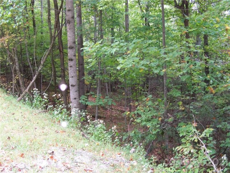 Property image 2 at 00 Arrowhead Trail, Columbus, NC 28722