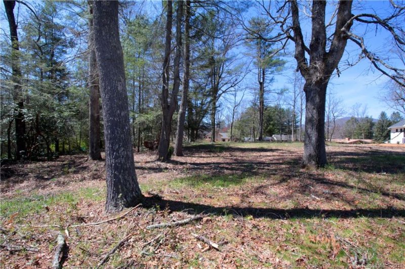 Property image 5 at Lot 2 Turnpike Road, Brevard, NC 28712