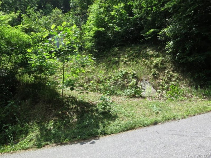 Property image 4 at 000 Wildflower Cove Road, Swannanoa, NC 28778