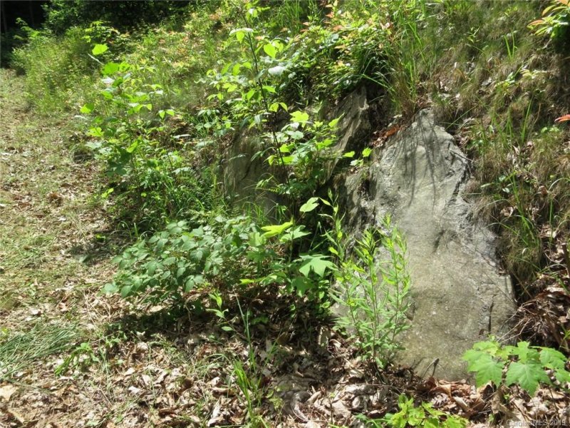 Property image 5 at 000 Wildflower Cove Road, Swannanoa, NC 28778