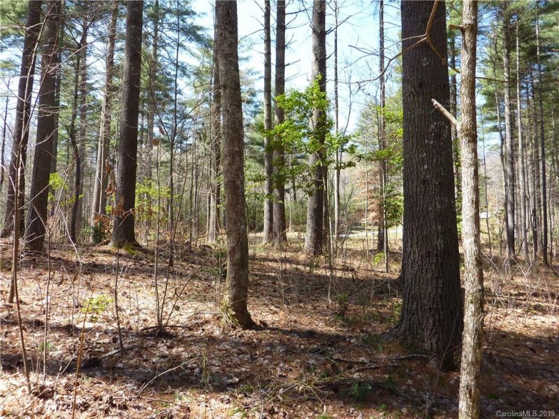 41 Mountain Brook Trail