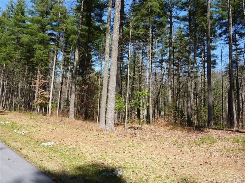 Property image 2 at 41 Mountain Brook Trail, Brevard, NC 28712