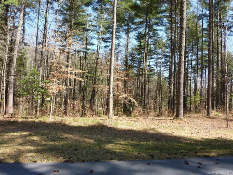 Property image 3 at 41 Mountain Brook Trail, Brevard, NC 28712