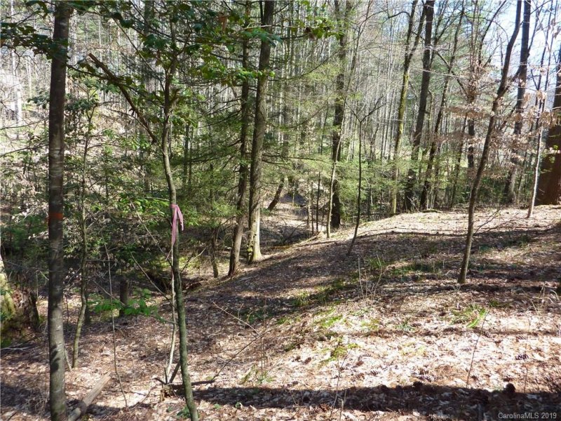 Property image 4 at 41 Mountain Brook Trail, Brevard, NC 28712